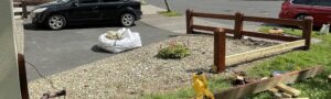 Front view of completed wooden fence repair with stained timber in Carlow