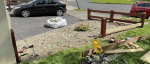 New pressure-treated timber fence posts professionally installed in Carlow